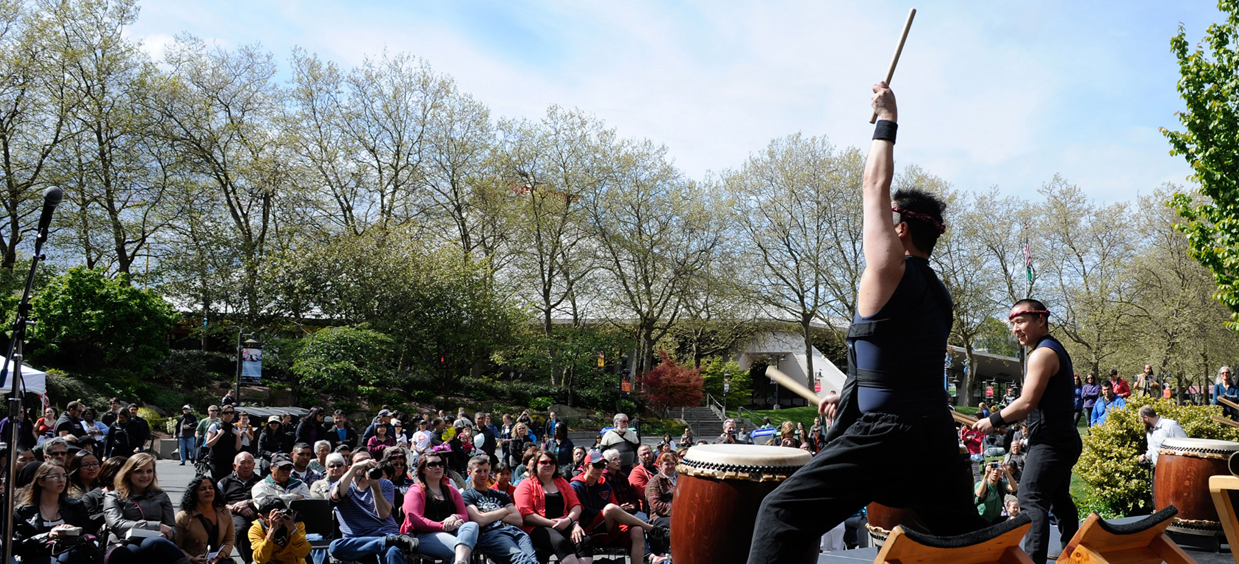 Seattle Cherry Blossom & Japanese Cultural Festival